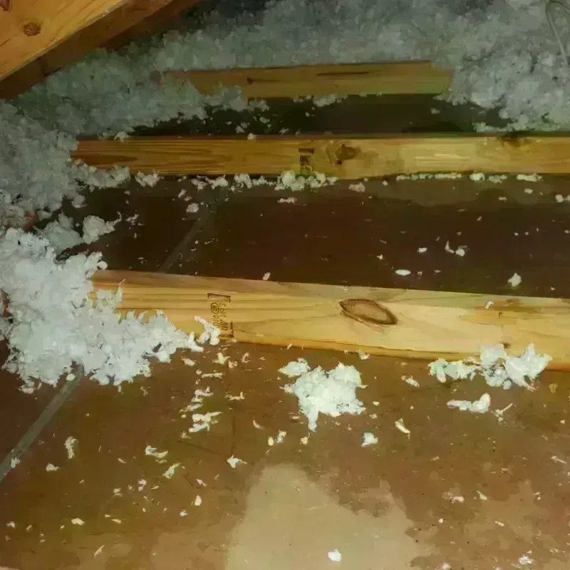 Attic Water Damage in Shorewood, IL