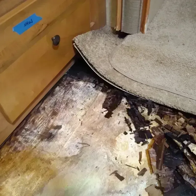 Wood Floor Water Damage in Shorewood, IL